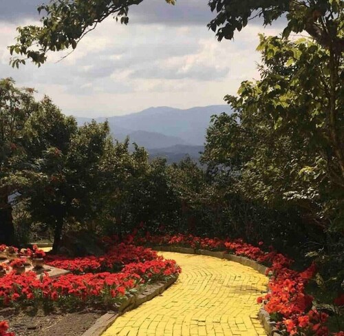 Condo skiing indoor pool hot tub sauna fitness WiFi on Beech Mountain