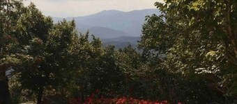 Condo skiing indoor pool hot tub sauna fitness WiFi on Beech Mountain