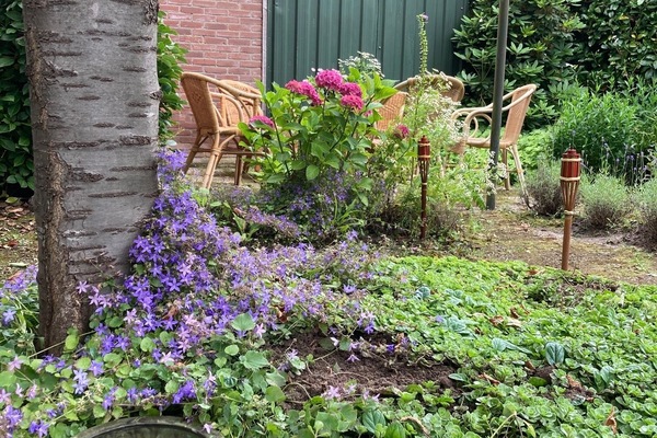 Terrein van de accommodatie