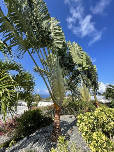 Seabreeze Cottage with private  pool and sunset view