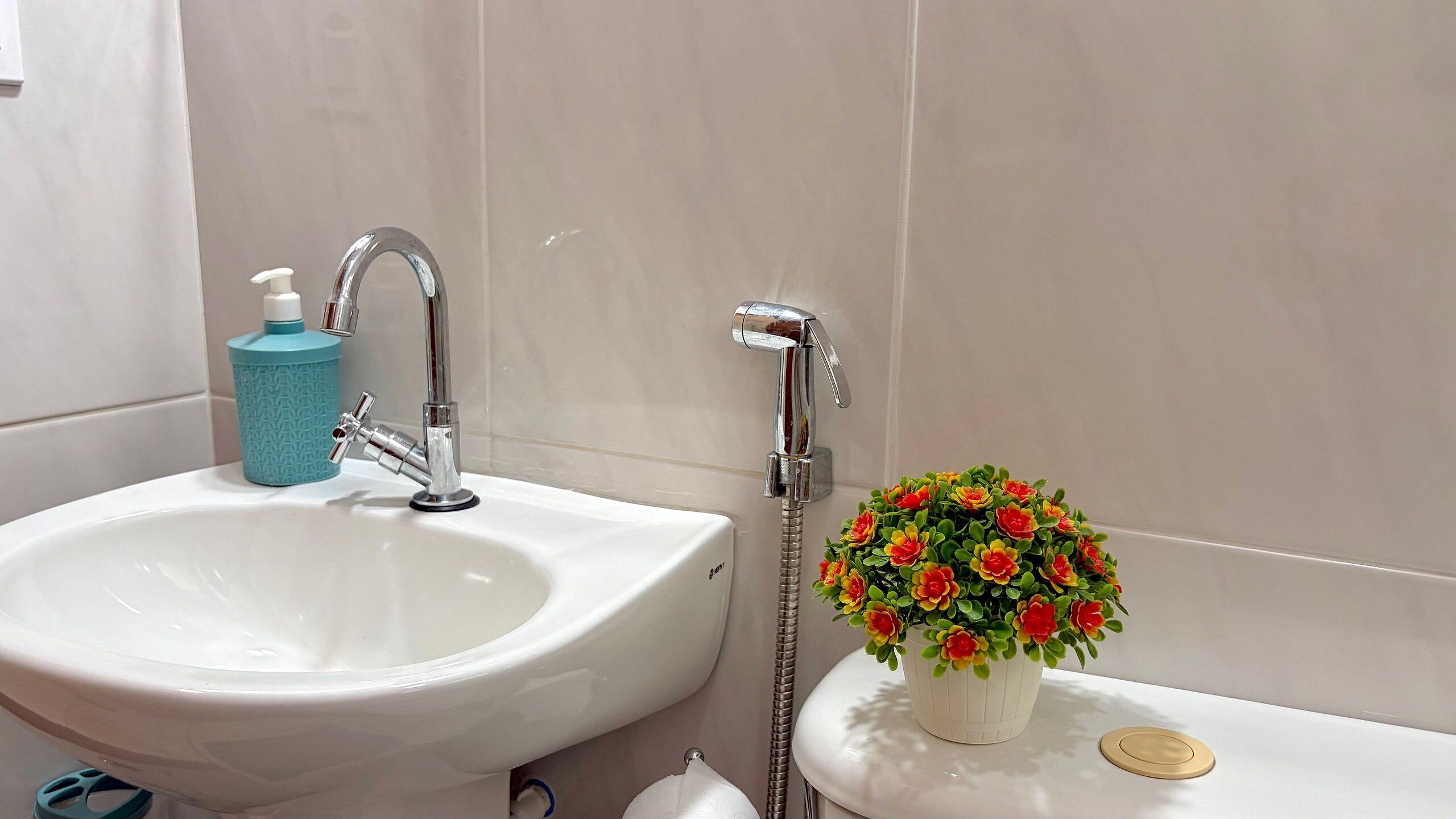 Casa de banho com lavatório branco, chuveiro manual e planta em vaso.