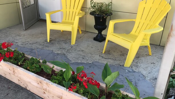 Deux chaises Adirondack jaunes sont placées sur un porche en béton, à côté d’un bac à fleurs en bois rempli de fleurs rouges.