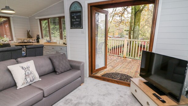 A cozy living room with a grey sofa, a television on a wooden stand, and a sliding glass door leading to a deck. - Tree View Lodge (Windermere)