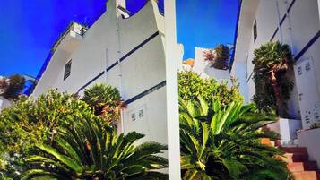 Detalle del exterior