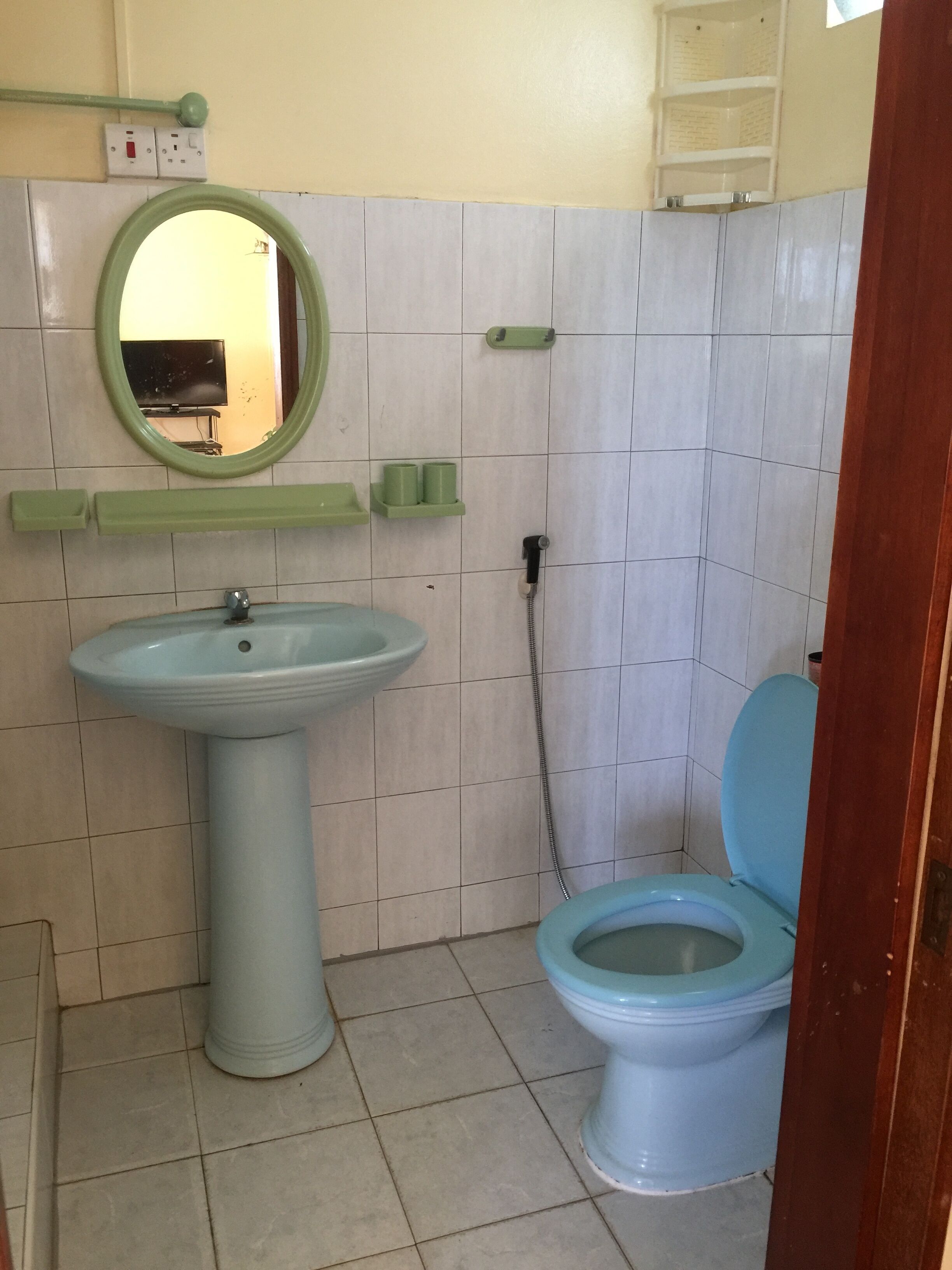 A bathroom with a pedestal sink, a toilet, a mirror, and a shelf with toiletries.