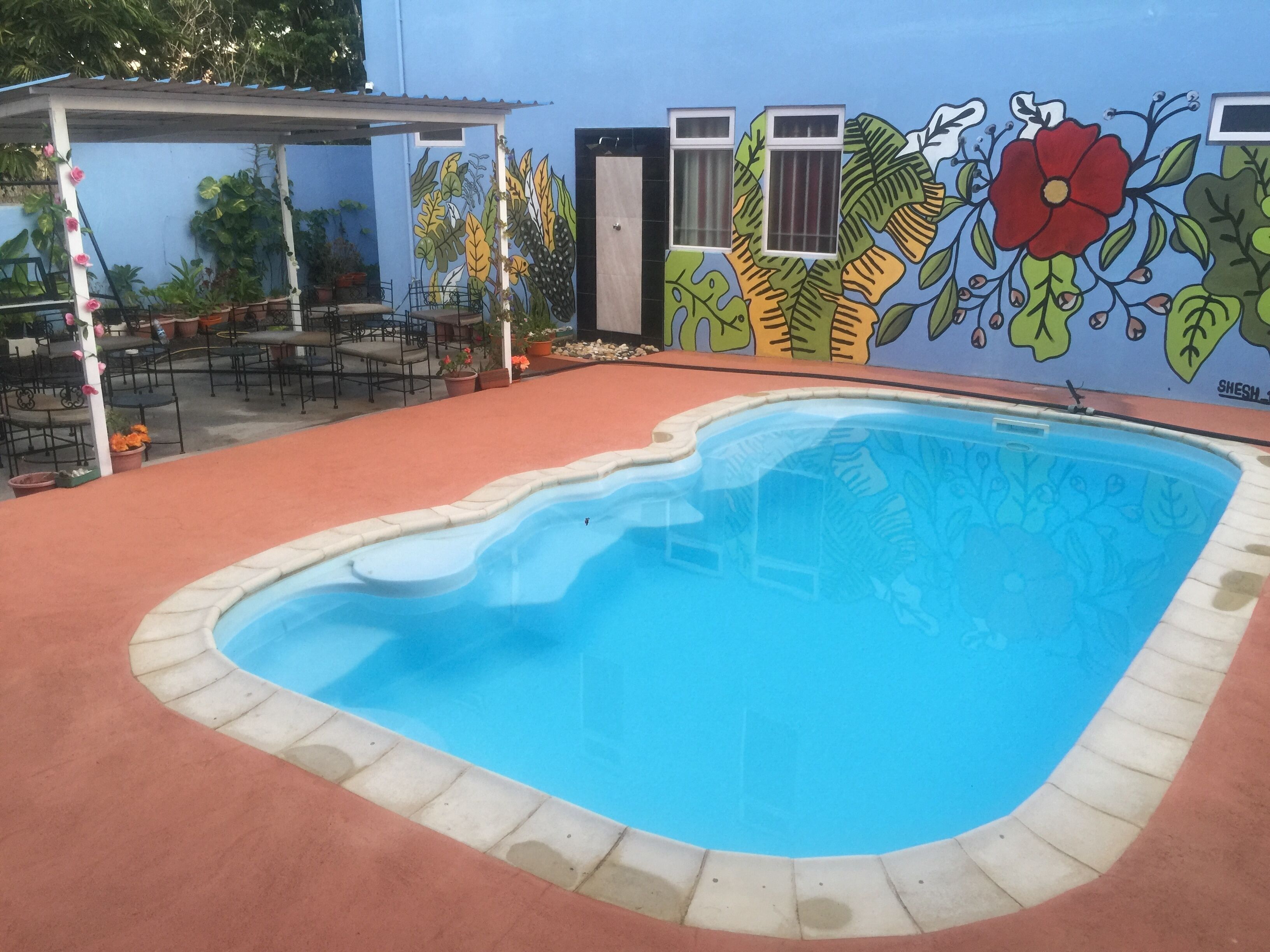 Una piscina con borde de azulejos, rodeada por un suelo rojo. En la pared detrás de la piscina hay un mural con plantas y flores tropicales.