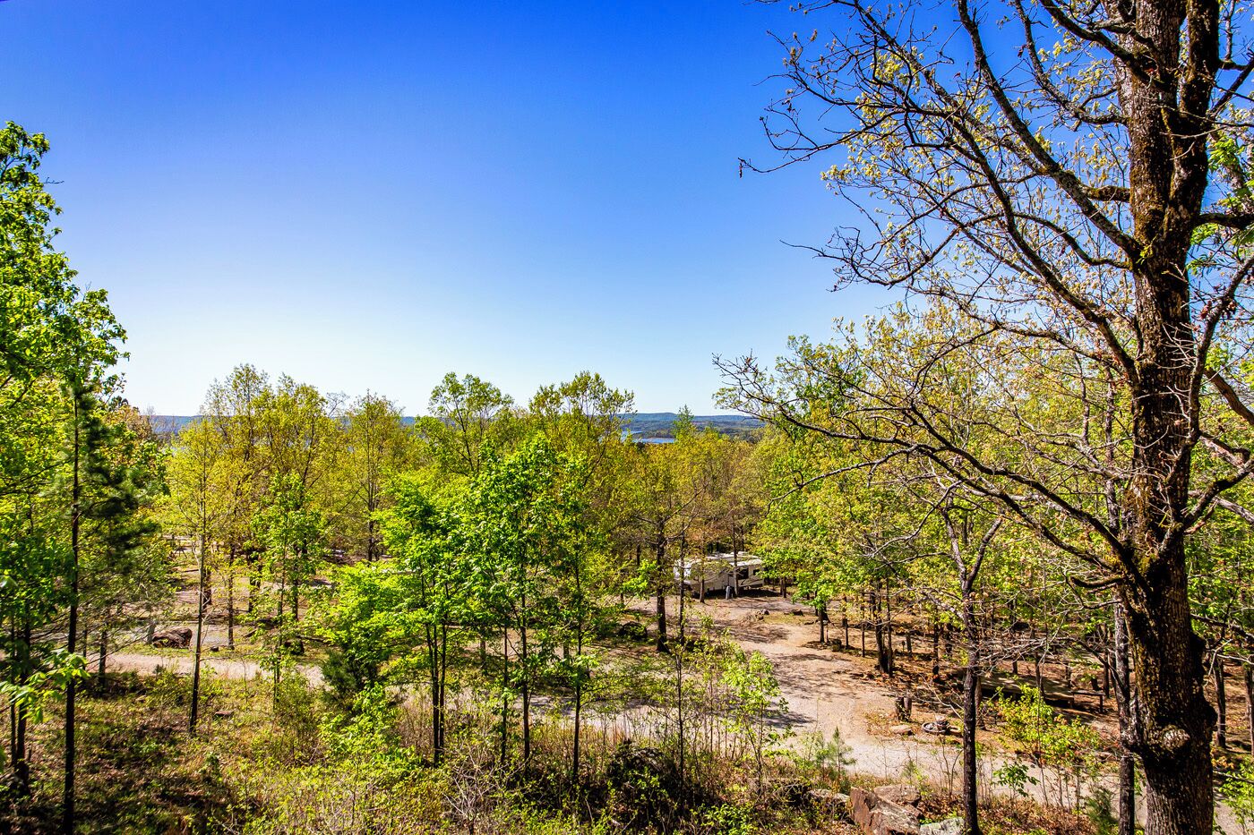A forested area with a clear sky, a dirt path, and a small structure in the distance.