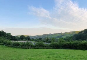 Pool - Holiday Cottages at Working Equestrian Centre. (Carmarthen)
