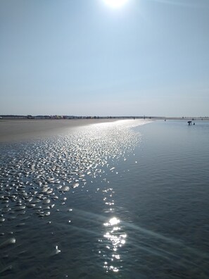 Beach nearby - Idyllic, detached vacation home on the Grevelingenmeer (Herkingen)