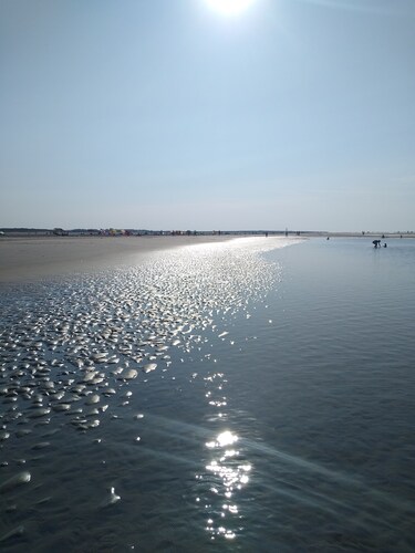 Idyllic, detached vacation home on the Grevelingenmeer