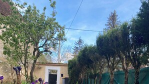 Un jardín con flores moradas y plantas verdes.