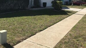 A residential house with a front yard, a palm tree, and a sidewalk. - Family Fun 4 bedroom Vacation home (Kissimmee)