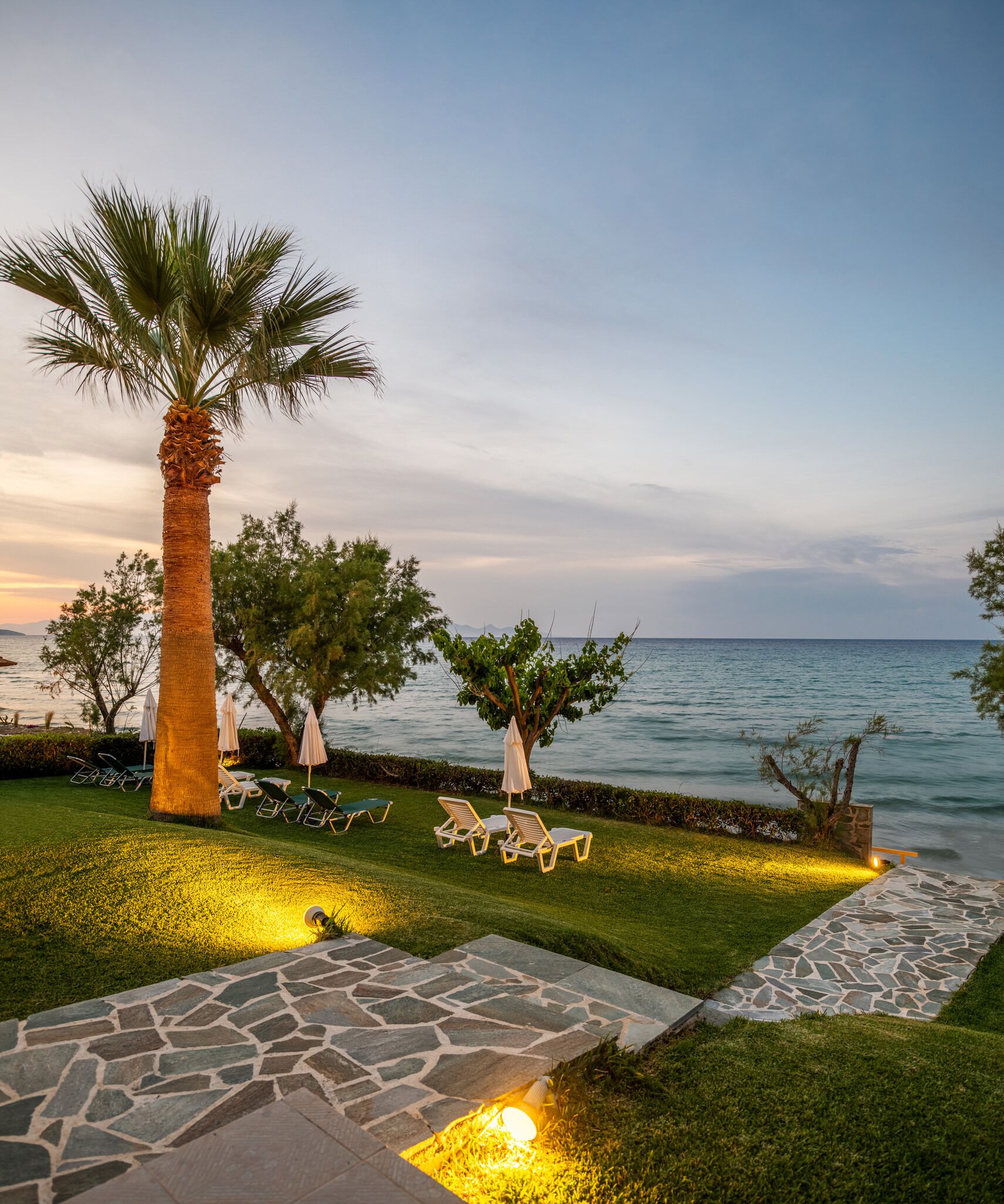 A well-maintained outdoor area with a stone pathway, lounge chairs, and a palm tree.