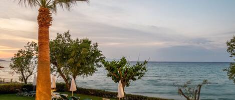A well-maintained outdoor area with a stone pathway, lounge chairs, and a palm tree.