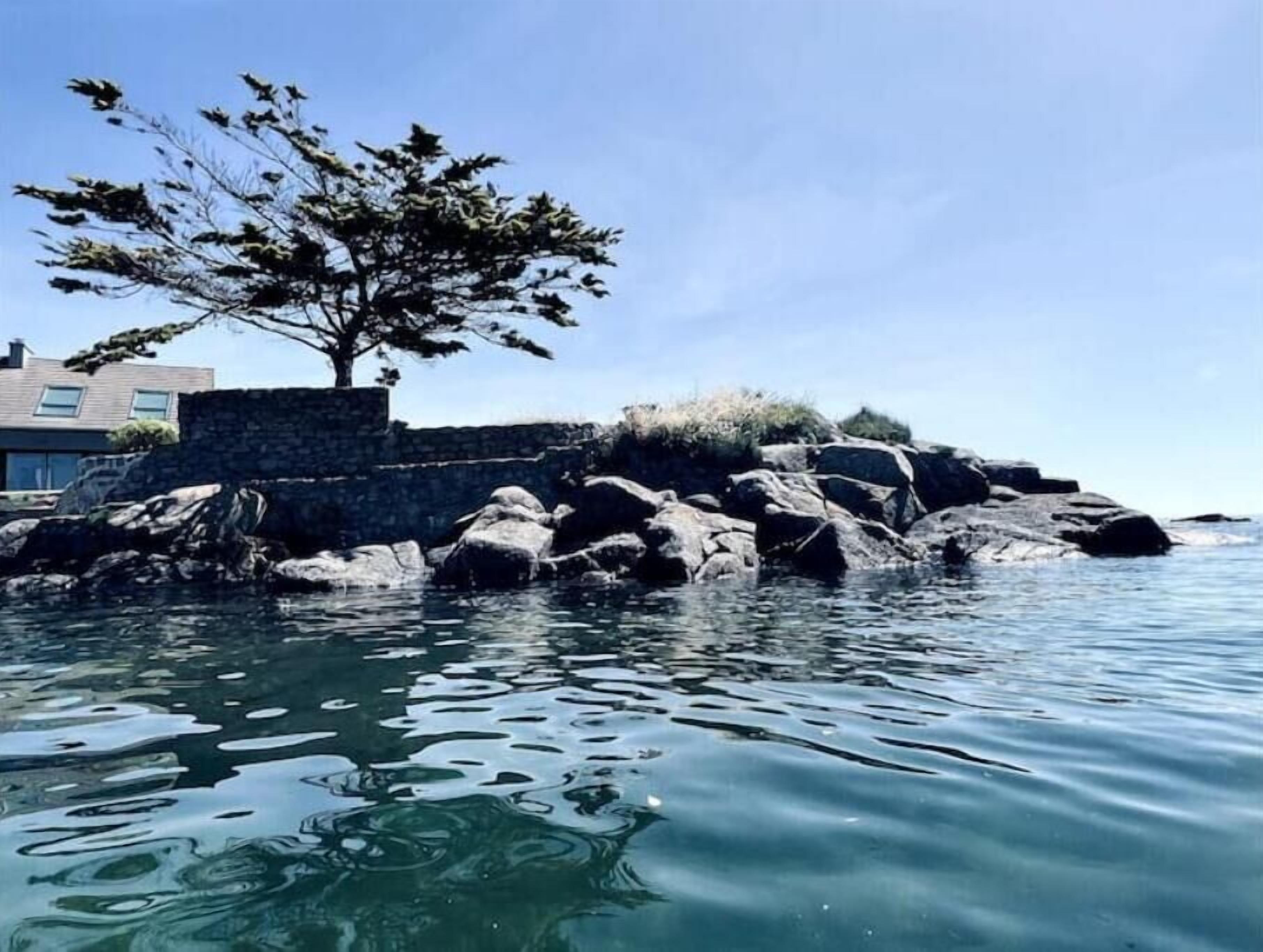 A coastal scene with a rocky shoreline, a tree, and a building with a stone wall.