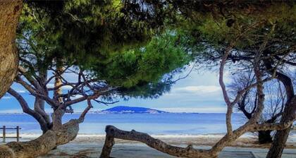 Maisonnette 4 Pers Avec Piscine Collective Dans Résidence Privée , 3 km Plages