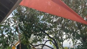 Een overdekt terras buiten, met een tafel en stoelen, omringd door een witte hek en bomen.