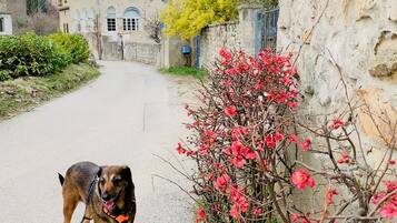 Enceinte de l’hébergement