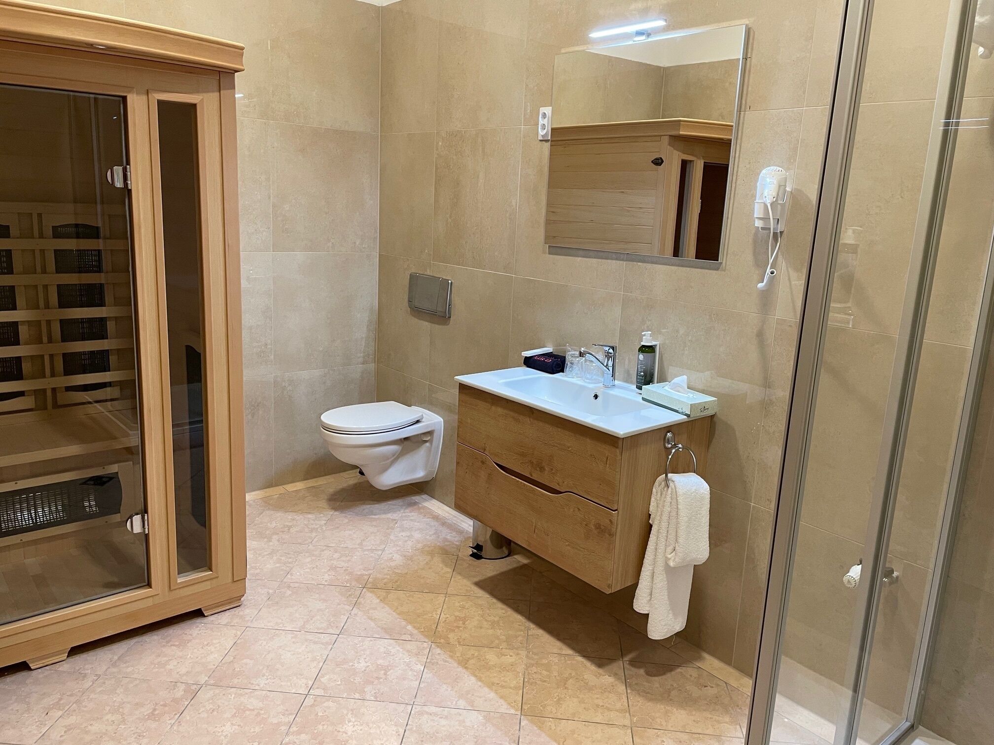 A modern bathroom with a glass shower enclosure, a toilet, and a vanity with a mirror.