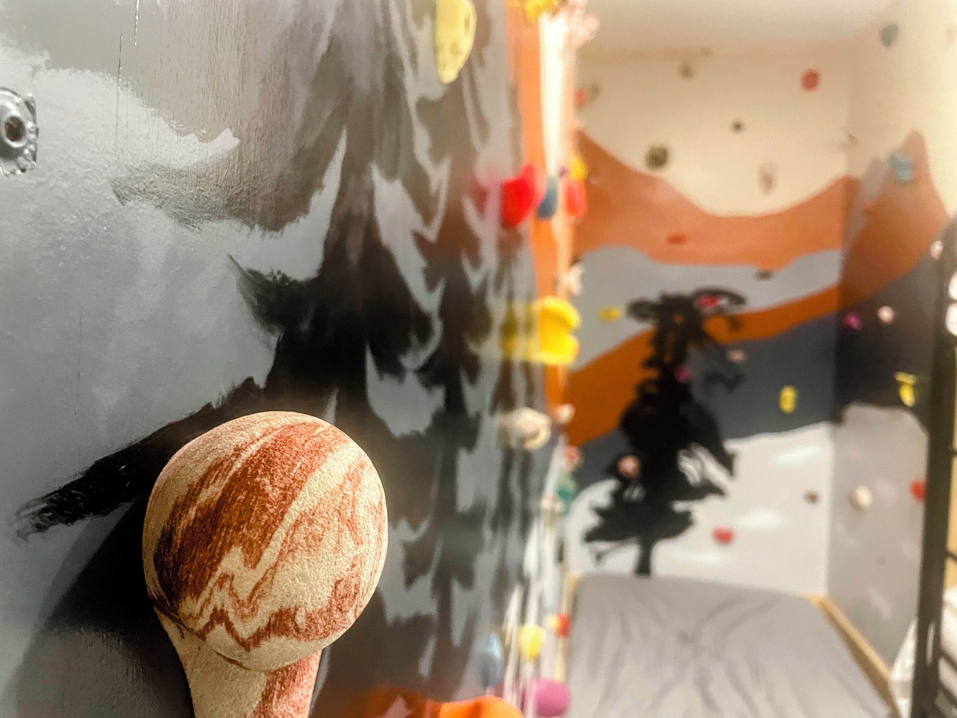 Un mur d’escalade avec des prises de couleurs vives et la silhouette d’un arbre en arrière-plan.