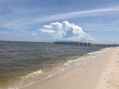 No Cleaning Fee!  <0.6 Miles to the Beach. Pet Friendly! Cast-a-Wave 228Vacay