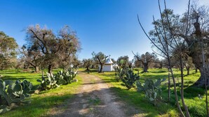 A dirt path leading to a white building in a park with cacti and trees. - 3745 Trullo Puspo by Barbarhouse (Carovigno)