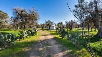 Parco della struttura