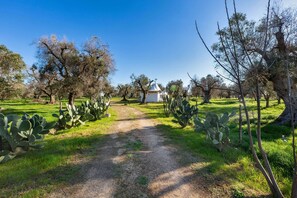 Property grounds - 3745 Trullo Puspo by Barbarhouse (Carovigno)