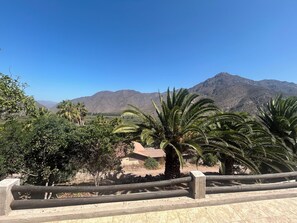 Property grounds - Elqui Valley Avocado Farm, 2-bedroom cabin in fabulous Vicuña with WiFi (Vicuña)