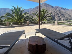 Property grounds - Elqui Valley Avocado Farm, 2-bedroom cabin in fabulous Vicuña with WiFi (Vicuña)