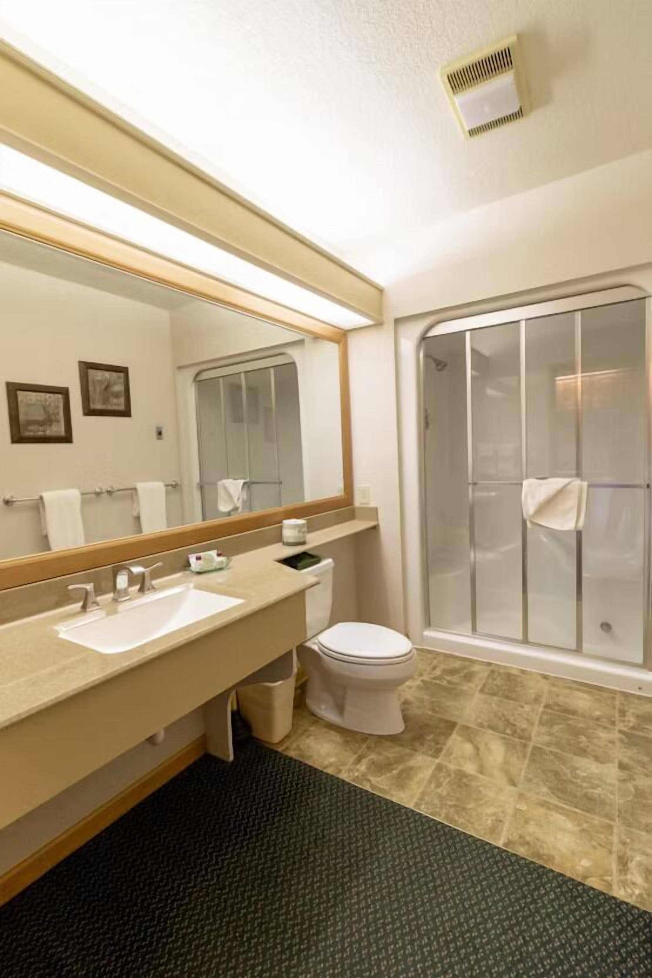 Une salle de bain avec un lavabo, des toilettes et une douche.