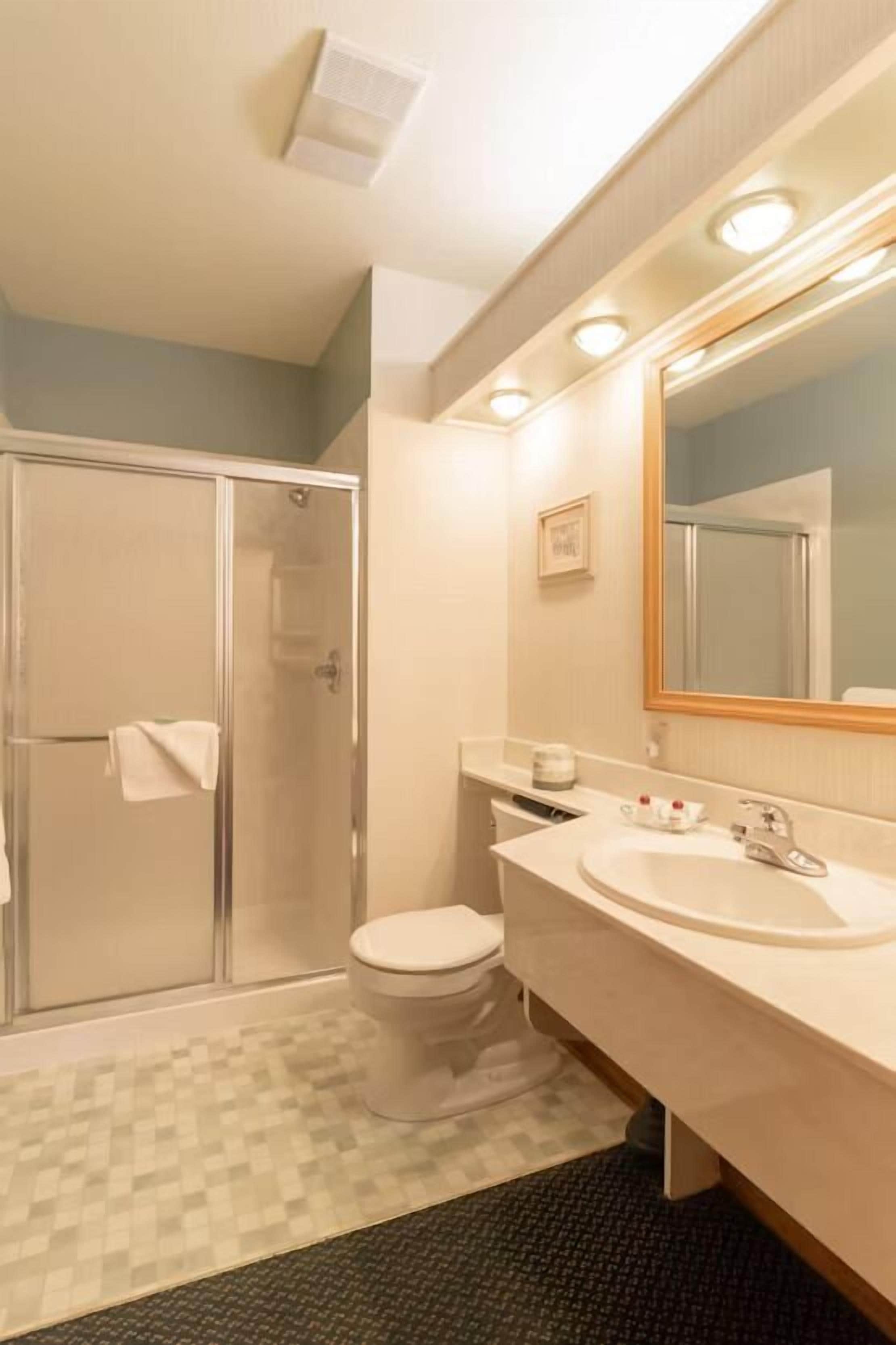 A bathroom with a glass shower enclosure, a toilet, a sink with a mirror, and a patterned floor.