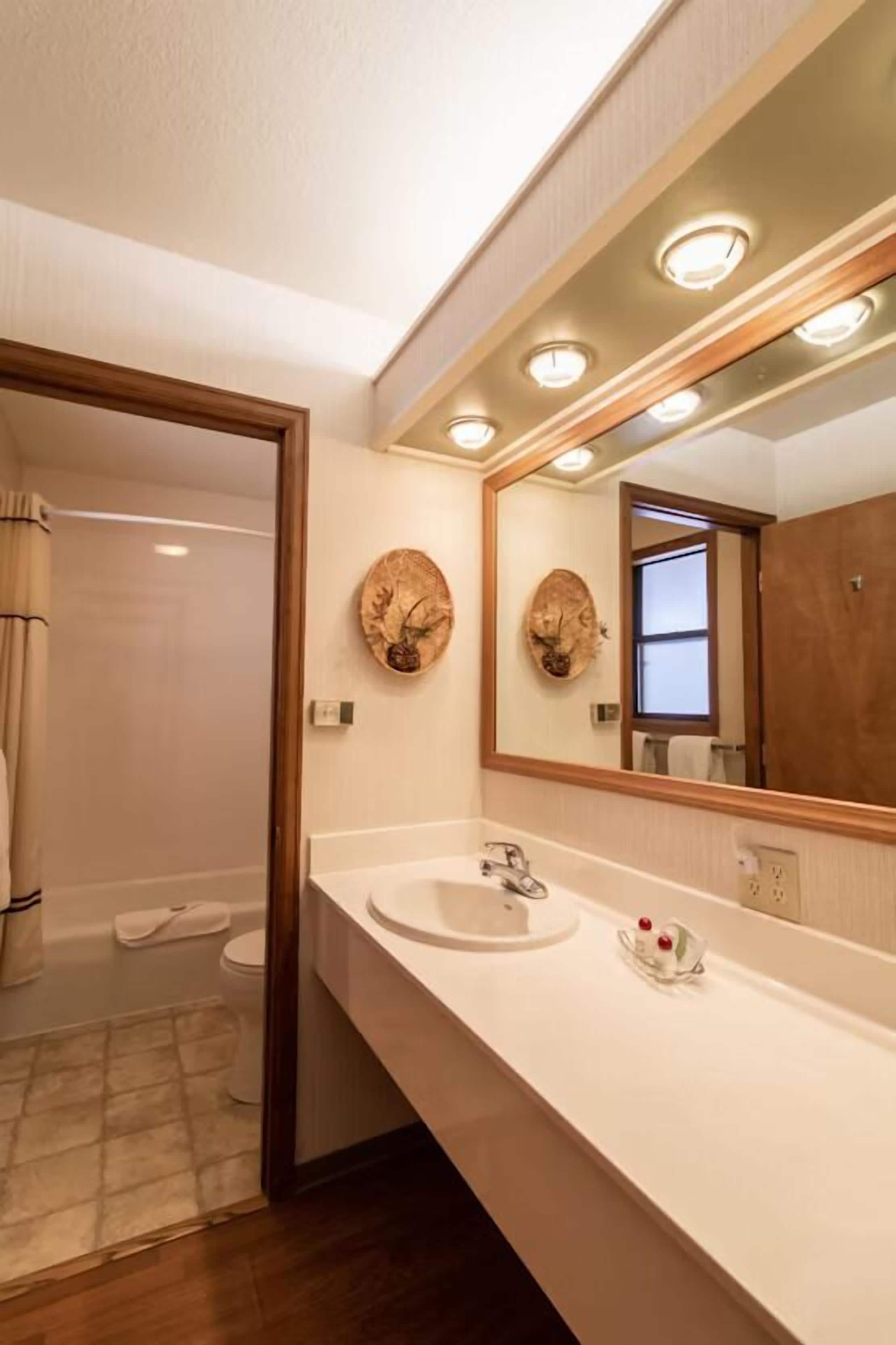 Une salle de bain avec un lavabo blanc, un grand miroir et un espace douche.