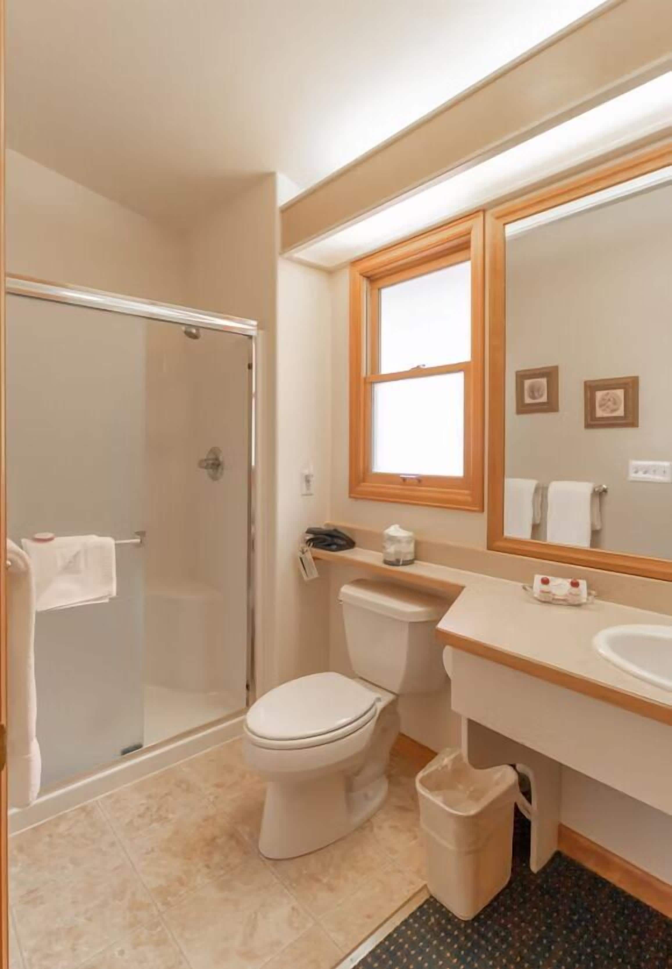Baño con ducha, inodoro, lavamanos y espejo.