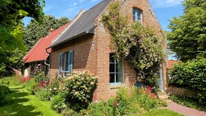 A brick house with a red roof, a window with blue shutters, and a garden with various plants and flowers.