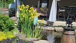 A house with a pond, a peacock statue, and a chair outside. - Tranquility: near Carlisle, Harrisburg, Messiah, Lancaster, Hershey attractions (Dillsburg)