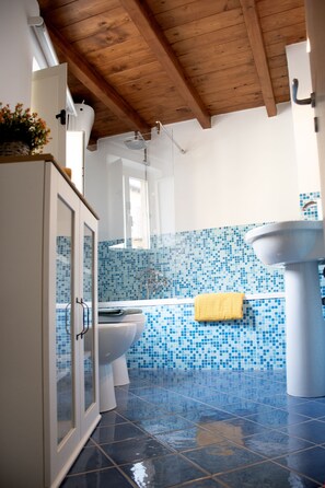 Shower, hair dryer, bidet, towels