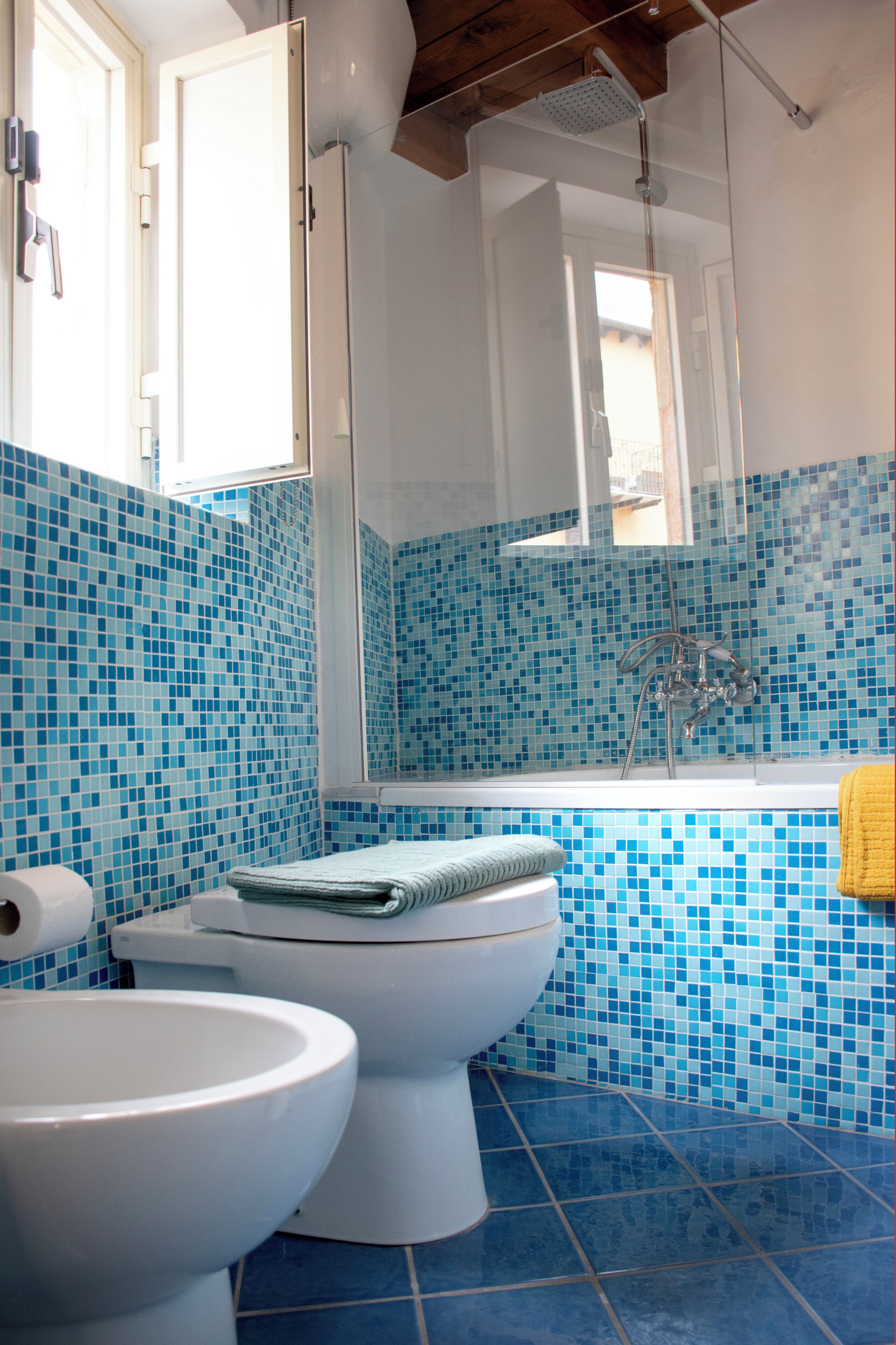 Shower, hair dryer, bidet, towels