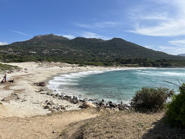 Strand