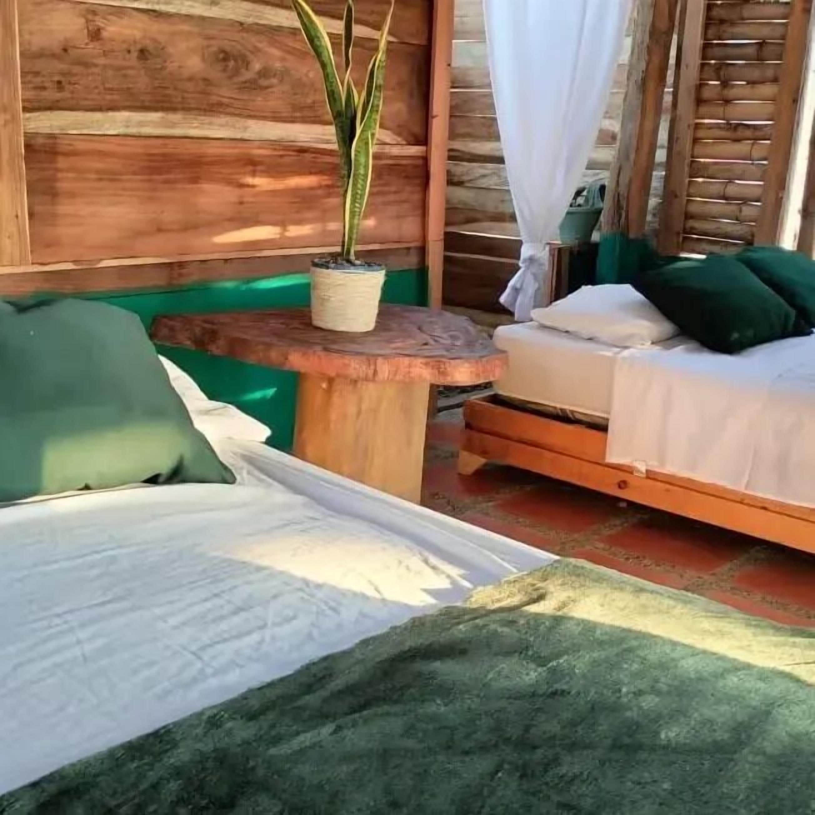 A wooden cabin-style room with a bed, a small table with a plant, and a bench.
