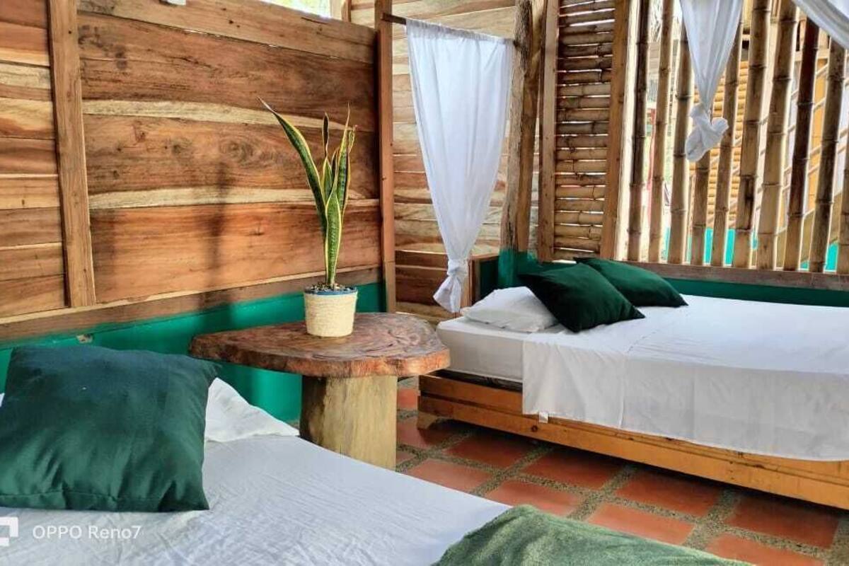 Una habitación con dos camas, una mesa redonda pequeña, una planta en maceta y un separador de bambú.