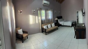 A bedroom with a bed, a sofa, a desk, and a chair. - Modern spacious accommodation 1 (Cedar Grove)
