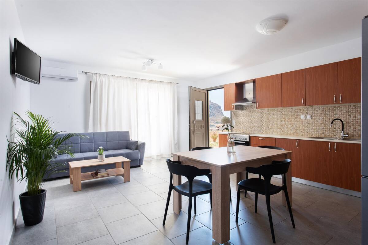 A modern apartment with a living area, dining space, and kitchen.