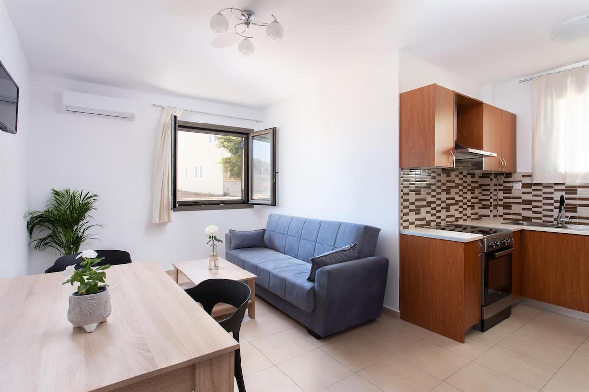 A compact living space with a kitchenette, a sofa, a dining table, and a potted plant.