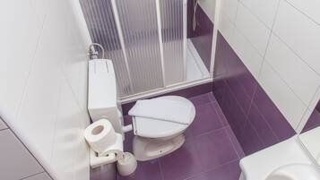 A bathroom with a toilet, a shower, and a bidet.