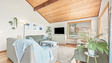 Televisie, een open haard, een dvd-speler en boeken