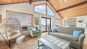 TV, fireplace, DVD player, books