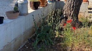 A stone building with a balcony, potted plants, and a tree. - Exclusive Holiday Home Villa Marumare (Hvar)