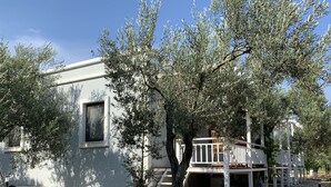 A modern building with a white exterior, a covered outdoor seating area, and a small tree in the foreground. - Zeytinlibahçe Konukevi (Bozcaada)