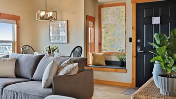 TV, fireplace, books